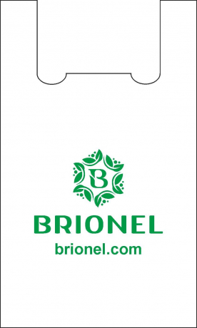 Пакет BRIONEL