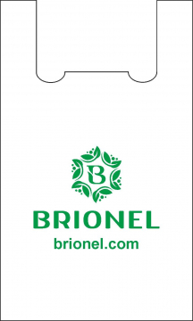 Пакет BRIONEL